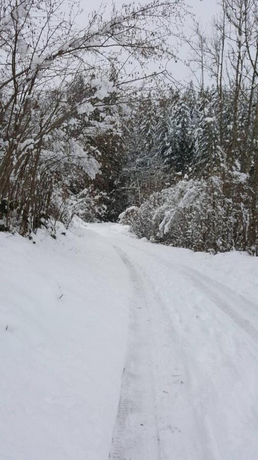 résidence vallée des lacs Le Tholy Extérieur photo