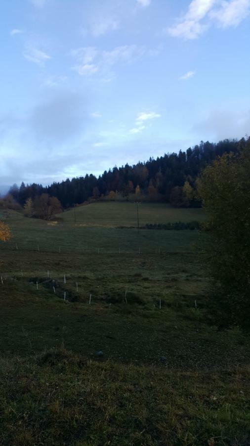 résidence vallée des lacs Le Tholy Extérieur photo